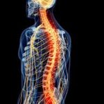 Same day chiropractic appointment Aurora