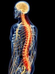 Same day chiropractic appointment Aurora